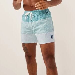 Chubbies The Whale Shark Classic Swim Trunks 5.5” XXL